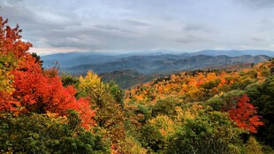 秋日山林绚丽风光