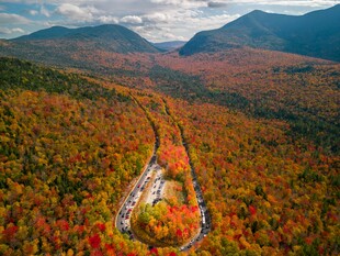 秋日山林间蜿蜒公路美景