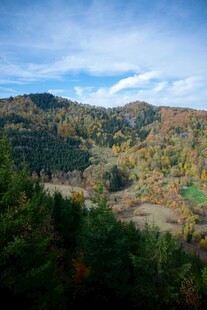 秋日山林美景
