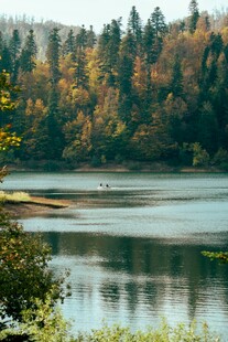 秋日湖畔森林美景
