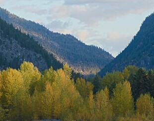 秋日山林间的壮丽山景