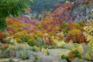 秋日山林斑斓美景