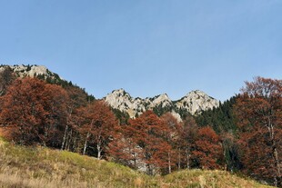 秋日山林美景