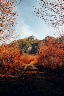 秋日山林美景