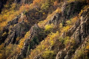 秋日山峦斑斓景致