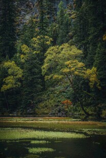 山林湖畔的静谧自然景致
