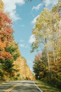 秋日公路美景