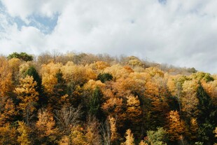 秋日山林美景