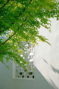 绿叶掩映下的白色建筑