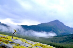 山间美景