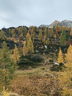 秋日山林美景