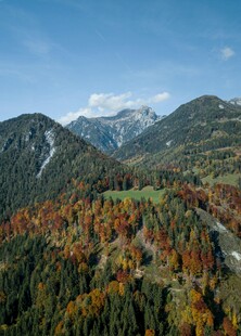 秋日山峦多彩森林美景