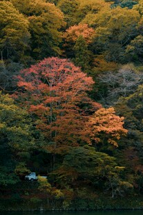 秋日山林斑斓美景