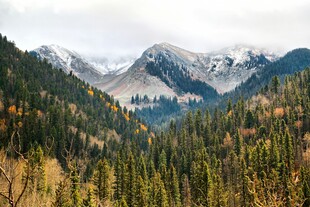 秋日山林与远处雪山美景