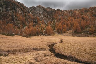 山间秋色
