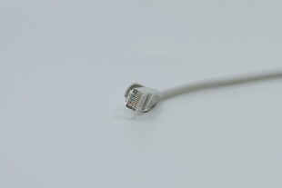 白色网线