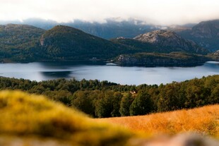 湖畔山林美景