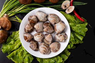 新鲜花蛤