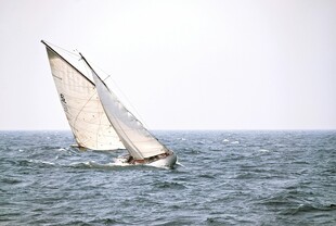 海上帆船破浪前行