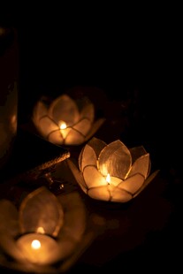 水中莲花烛