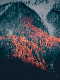 秋日山林斑斓美景