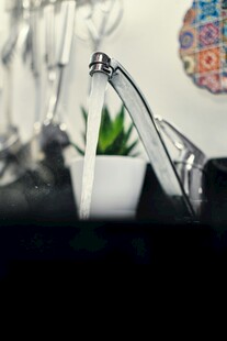 白色花盆中的翠绿小多肉