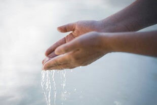 双手捧水