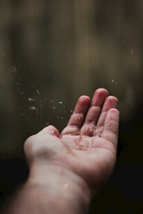 掌心落雨