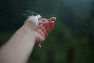 掌心接雨