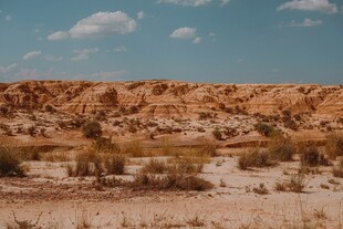 荒漠景观