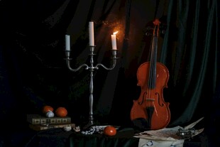 古典乐韵中的静谧艺术场景