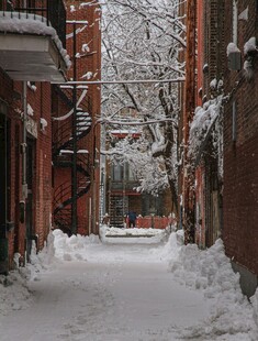 雪覆小巷的静谧冬日景象