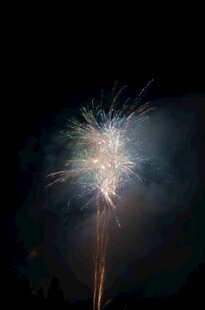 夜空中绽放的绚烂烟花