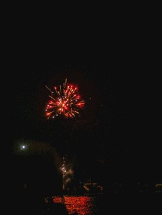 夜空中绽放的绚丽烟花