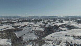 冬日雪景俯瞰图