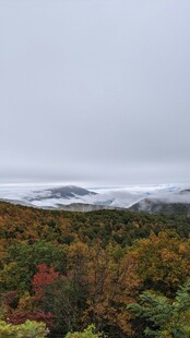 秋日山林多彩景致