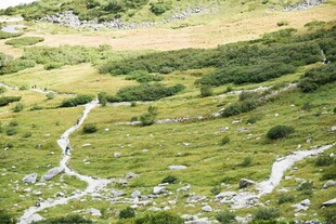 山间绿野蜿蜒小径美景