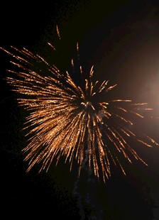 夜空中绚烂的金色烟花