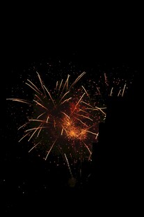 夜空中绚烂的烟花绽放