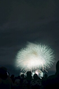 夜空中绚烂的烟花表演
