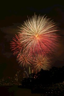 夜空中绚烂的烟花绽放