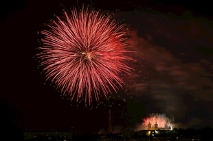 夜空中绽放的绚丽烟花