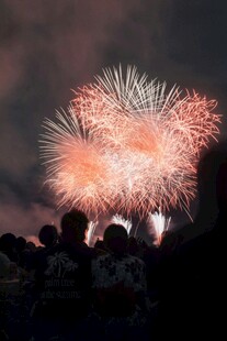 夜空中绚烂的烟花表演