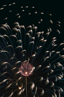 夜空中绚烂绽放的烟花