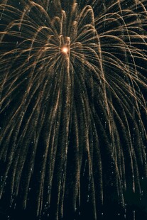 夜空中绚烂绽放的烟花