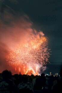 夜空中绚烂的烟花绽放