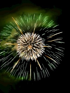 绚丽烟花绽放夜空