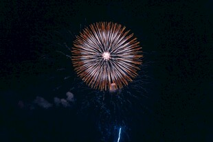 夜空中绽放的绚丽烟花
