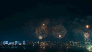 城市夜空绚烂烟花绽放
