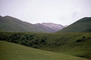 山间绿野风光